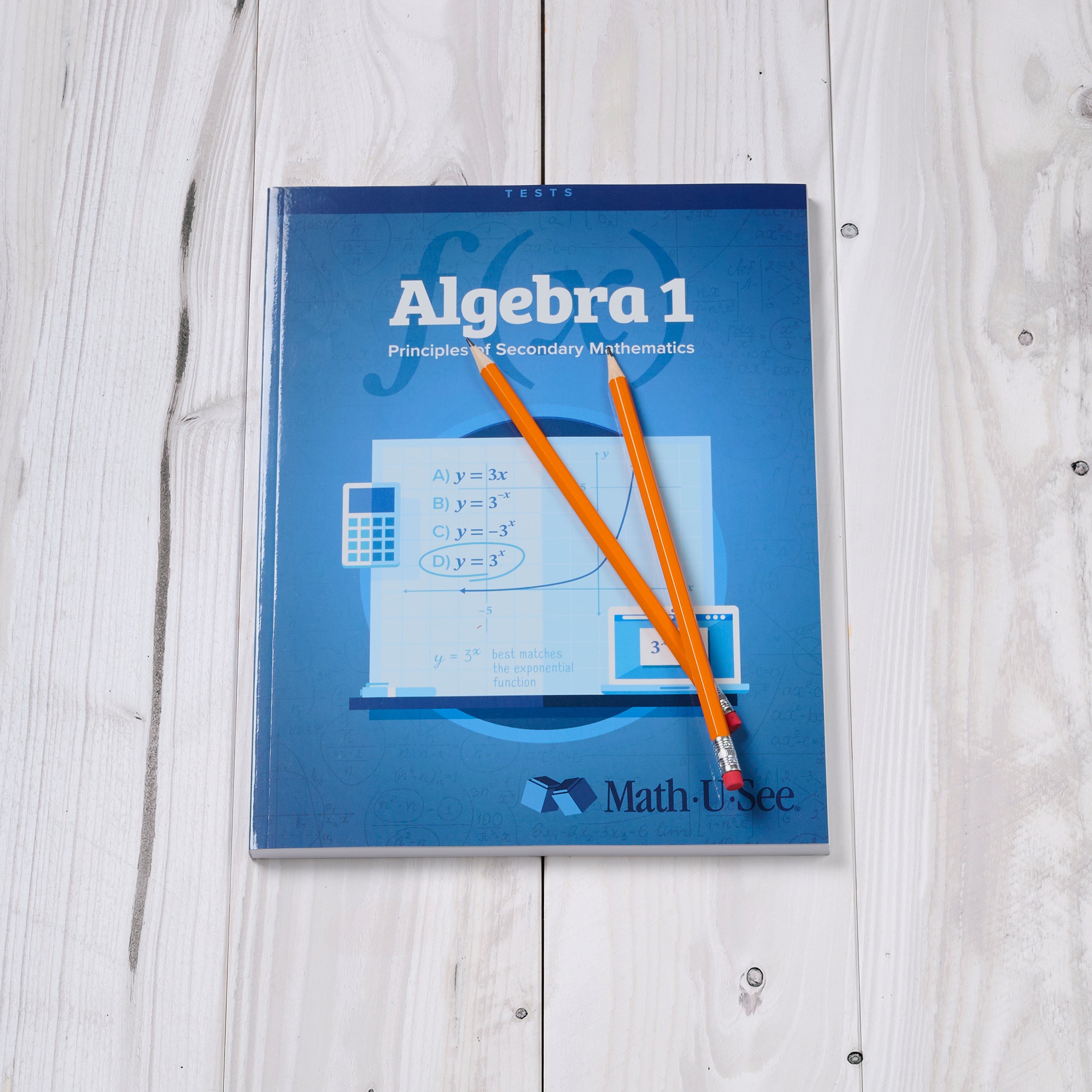 Algebra 1: Principles of Secondary Mathematics Student Worktexts and T ...