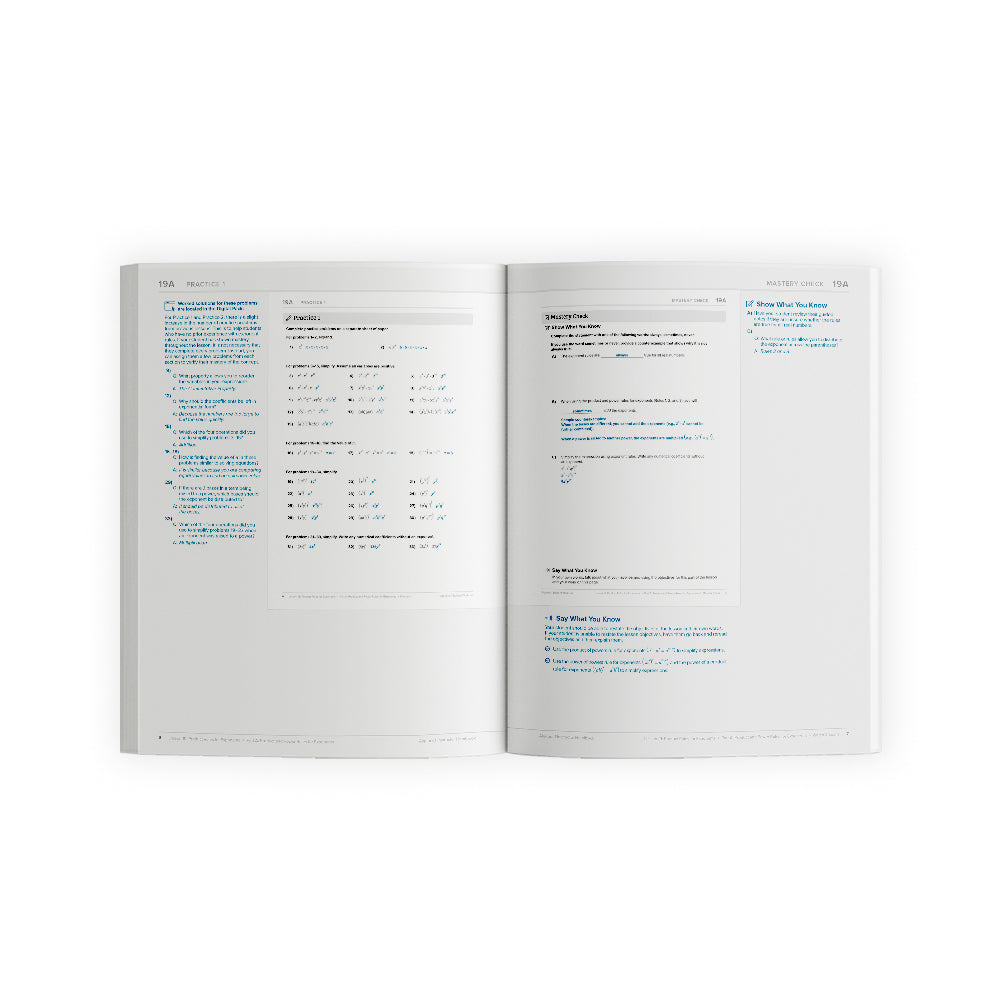 Algebra 1: Principles of Secondary Mathematics Instructor Handbooks ...