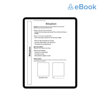 WriteShop Fold-N-Go Grammar Pack Level 3 (ebook)