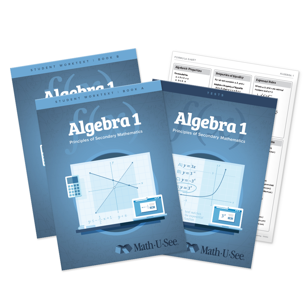 All Algebra 1 Principles of Secondary Mathematics Products - Demme ...